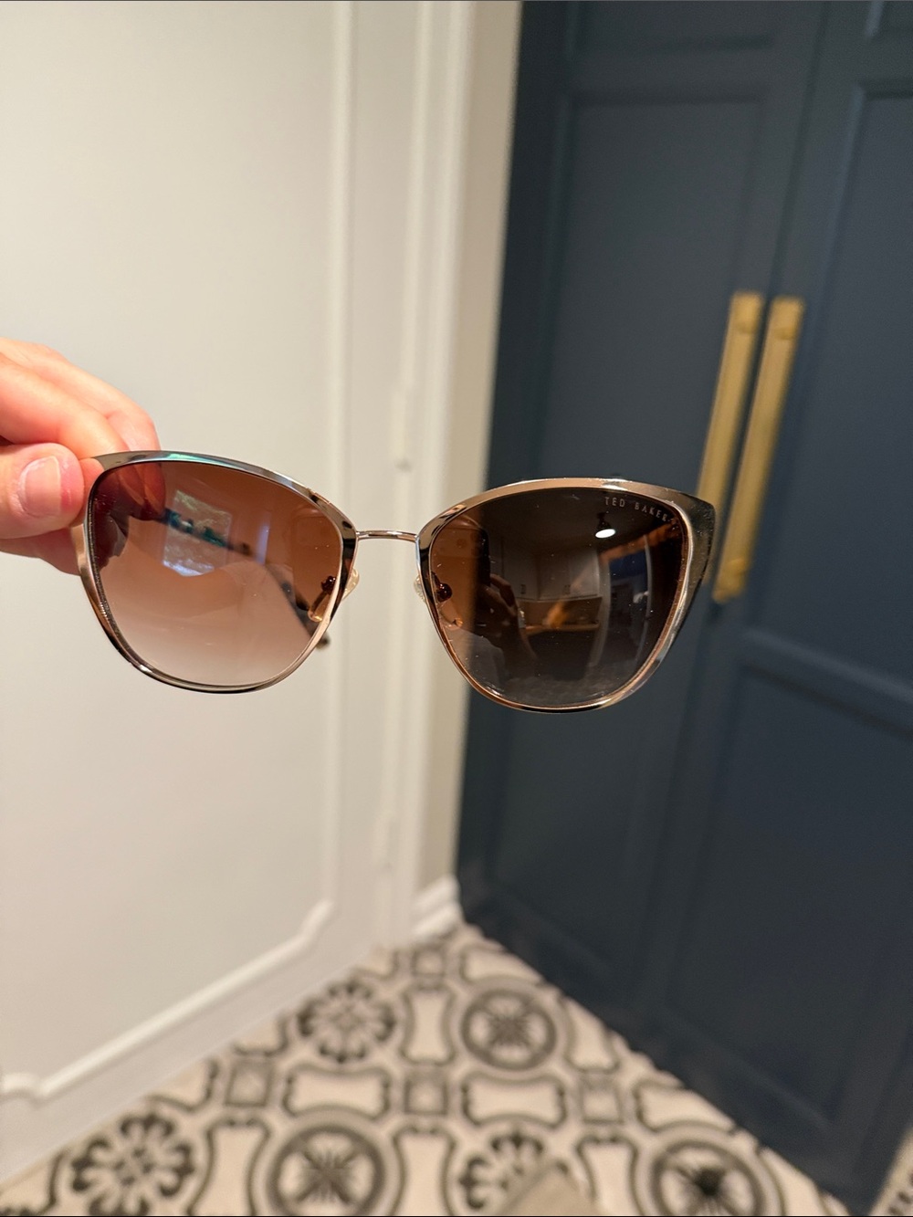 Ted Baker Brown Gradient Cat-Eye Sunglasses with tortoise shell Arms